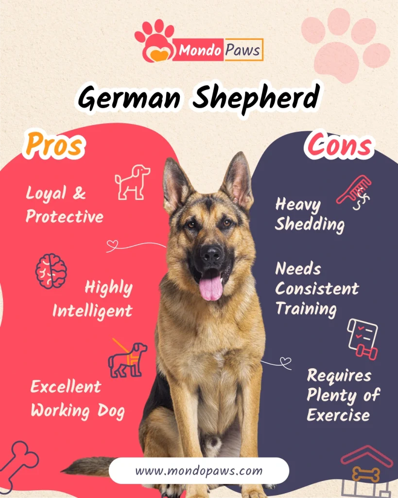 German Shepherd pros and cons