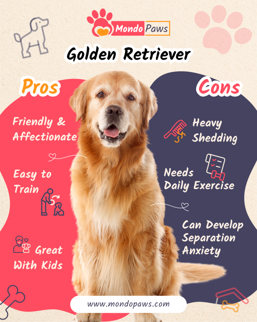 Golden Retriever pros and cons comparison
