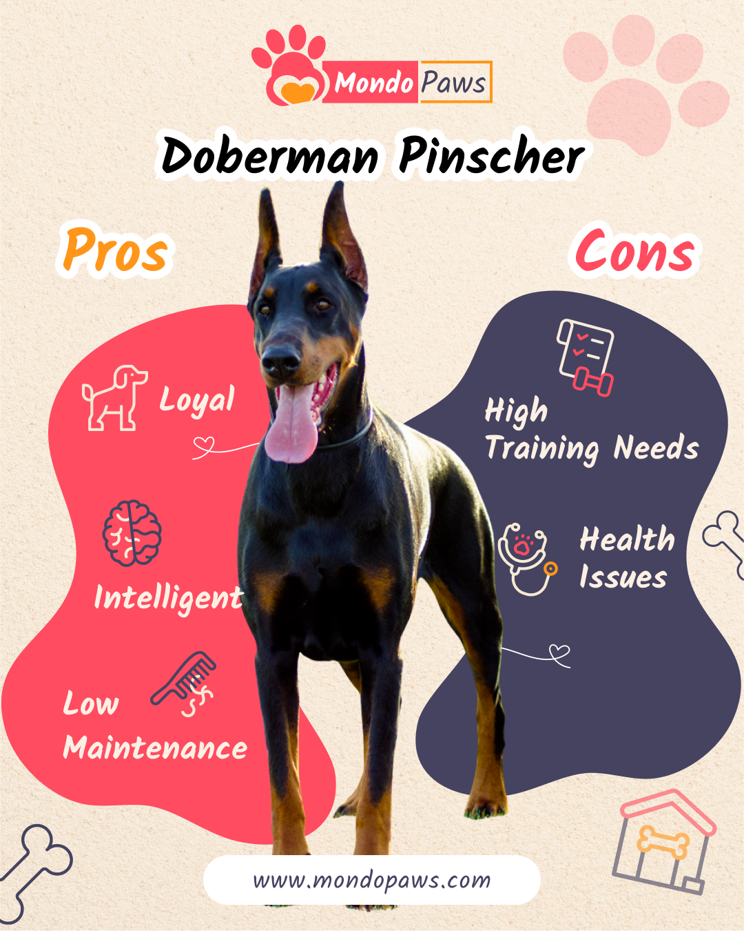 Doberman Pinscher Pros and Cons infographics