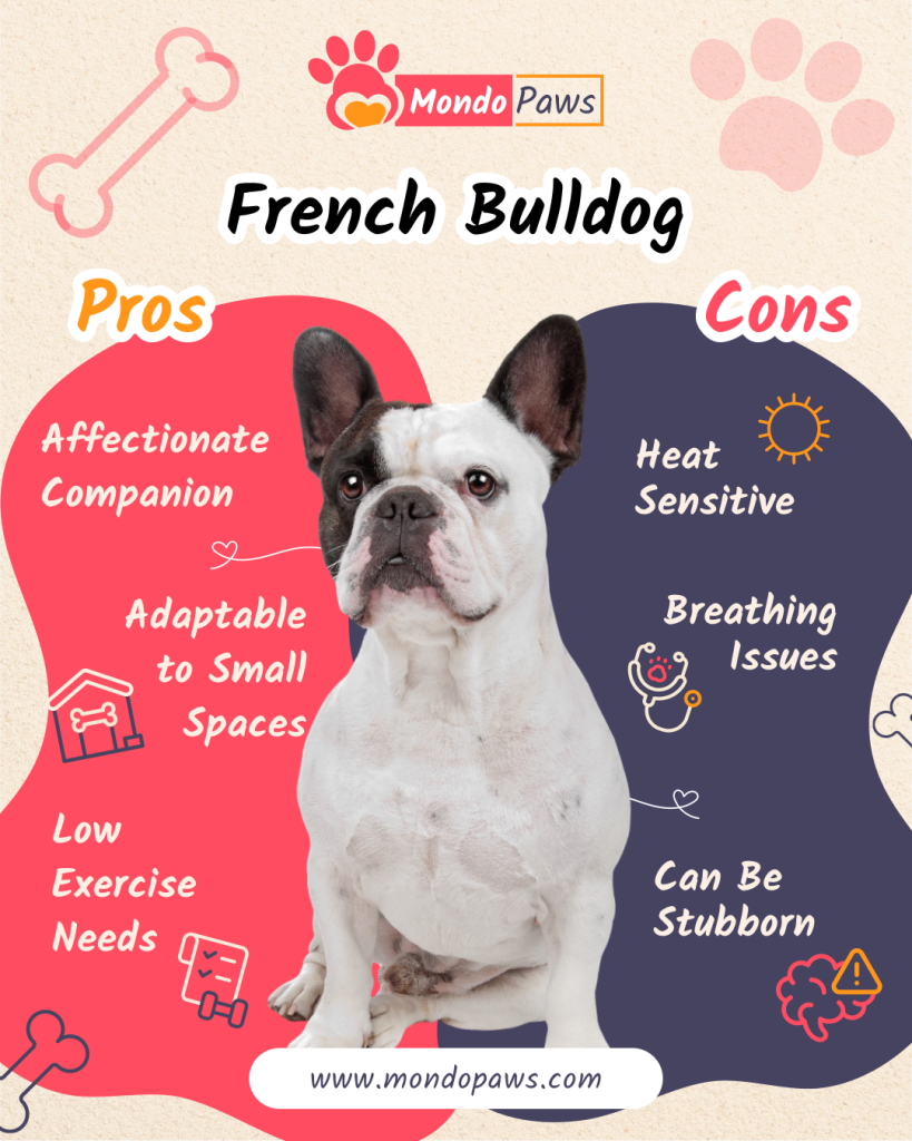 French Bulldog pros and cons comparison