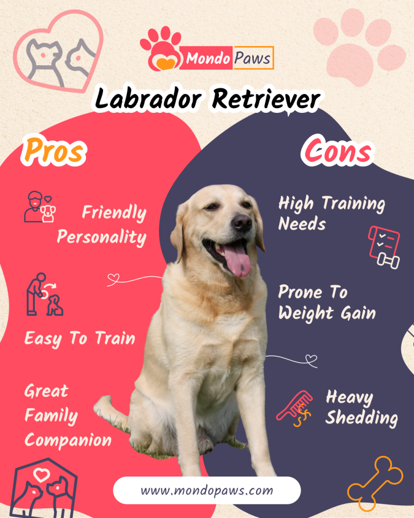 Labrador Retriever pros and cons comparison