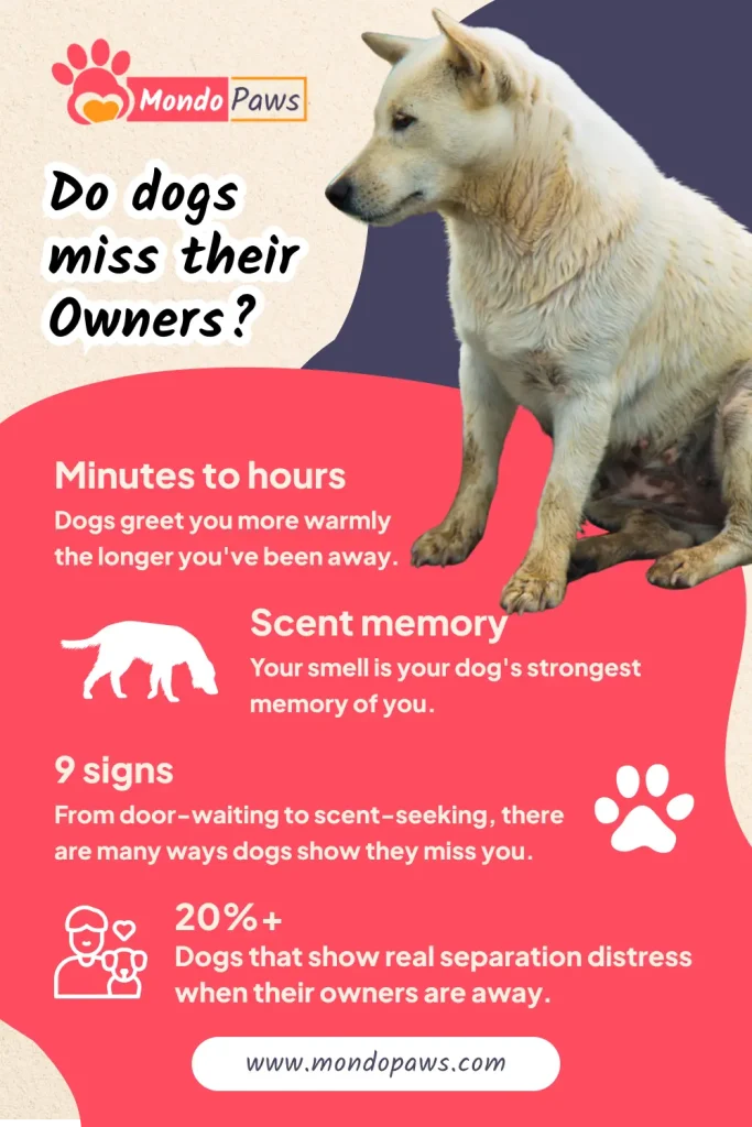 Do dogs miss their owners infographic showing how dogs experience time apart, scent memory and signs of missing their owner