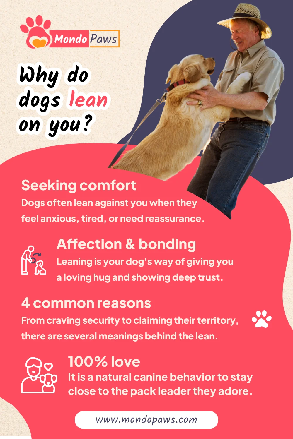 Why do dogs lean on you infographic showing contact-seeking behaviour, lean triggers and leaning breeds