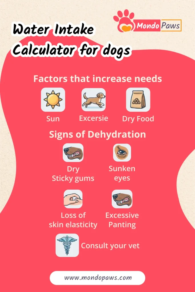 Water Intake Calculator for Dogs infographic showing daily hydration targets, dehydration signs, and special-situation adjustments