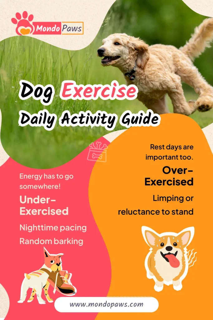 Dog exercise calculator infographic showing daily exercise needs by age, energy group, and breed