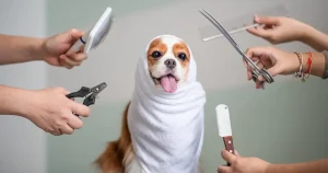 Dog grooming cost calculator by size