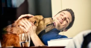 Why dose my dog lick me